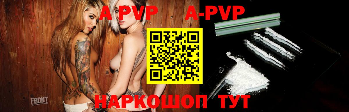 A PVP СК Котлас