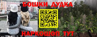 ешки Будённовск