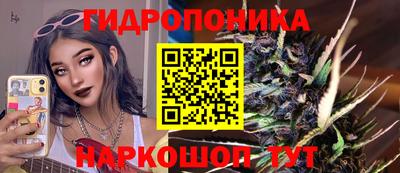ешки Будённовск